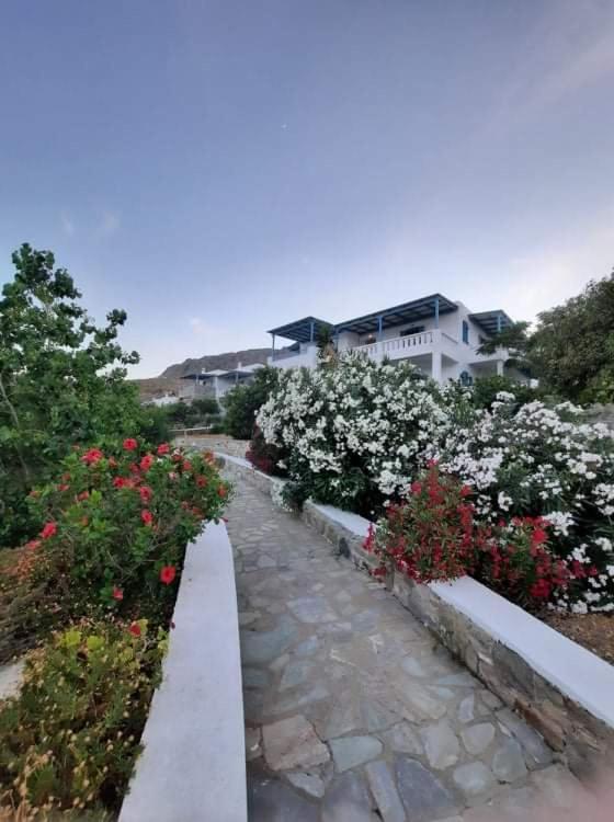 Medusa Accommodation Livadakia 외부 사진